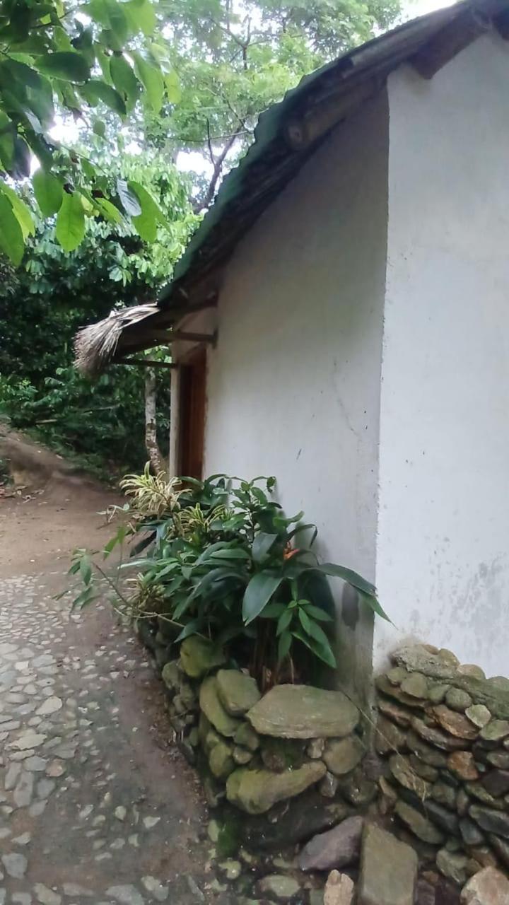 Luxury tent La Cima Tayrona *