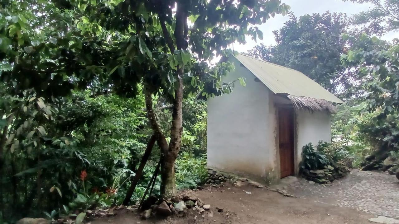 Luxury tent La Cima Tayrona Santa Marta (Magdalena)
